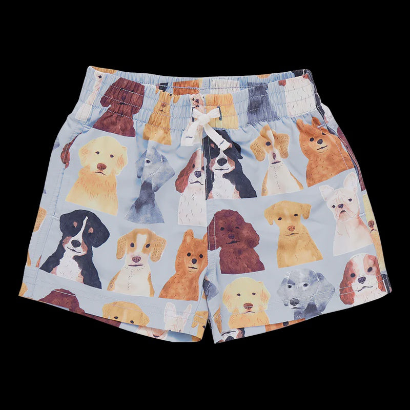 Boys Swim Trunk - Light Blue Water Color Dogs