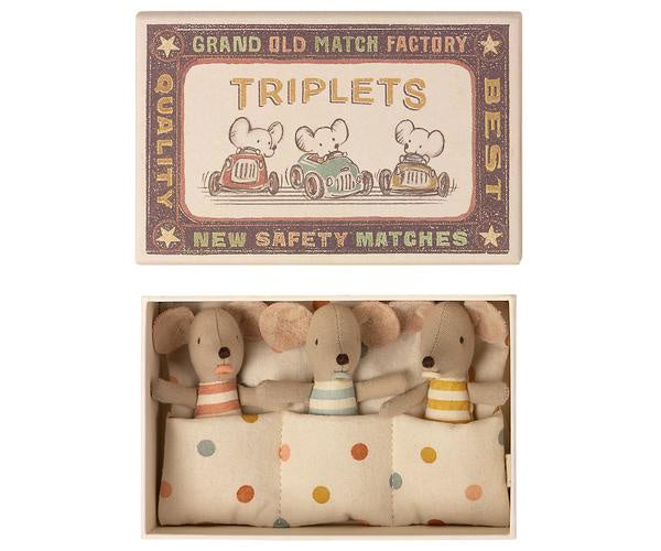 Triplets, Baby Mice in Matchbox